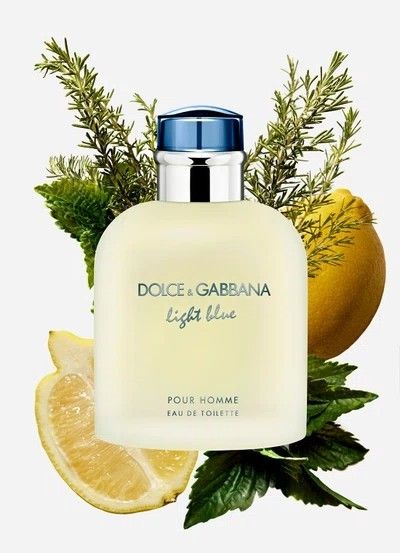 Dolce & Gabbana Light Blue Pour Homme EDT 2.5 oz / 75ml Men’s Cologne