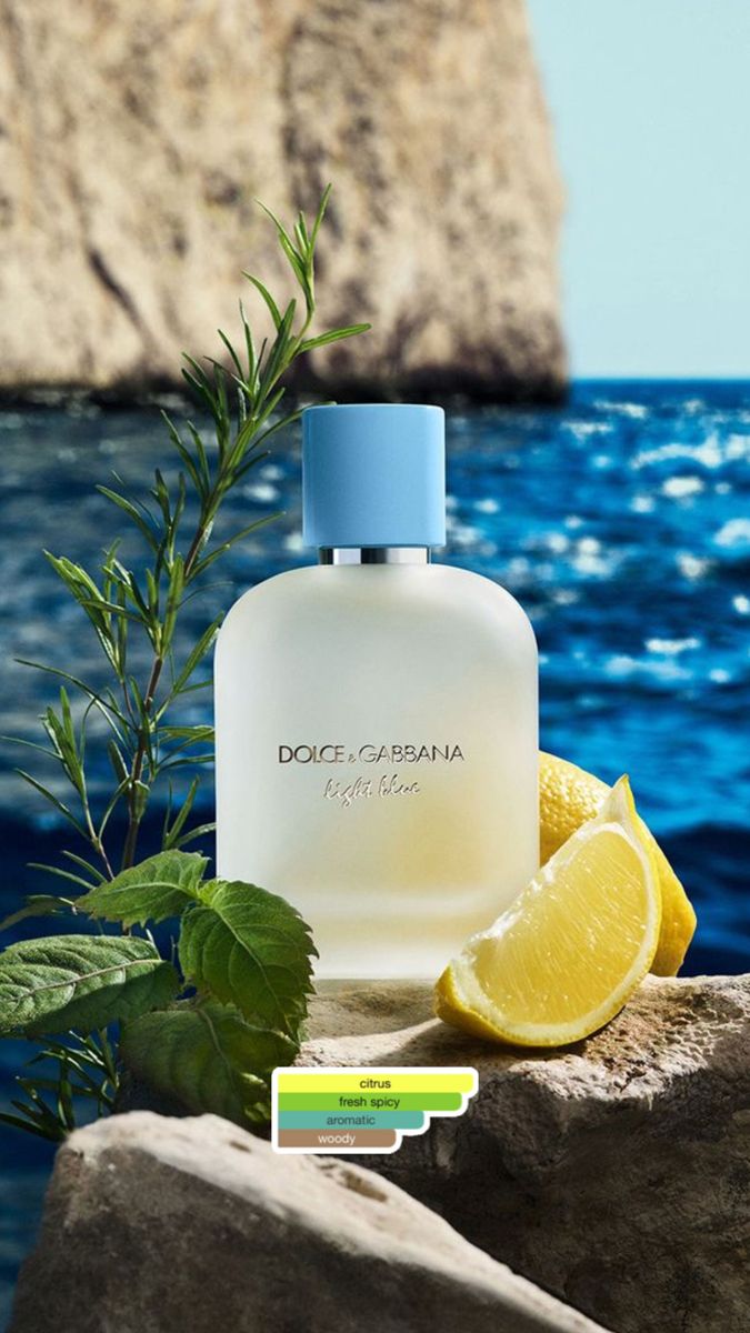 Dolce & Gabbana Light Blue Pour Homme EDT 2.5 oz / 75ml Men’s Cologne